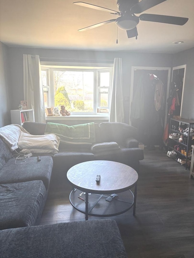 living area featuring a ceiling fan and wood finished floors