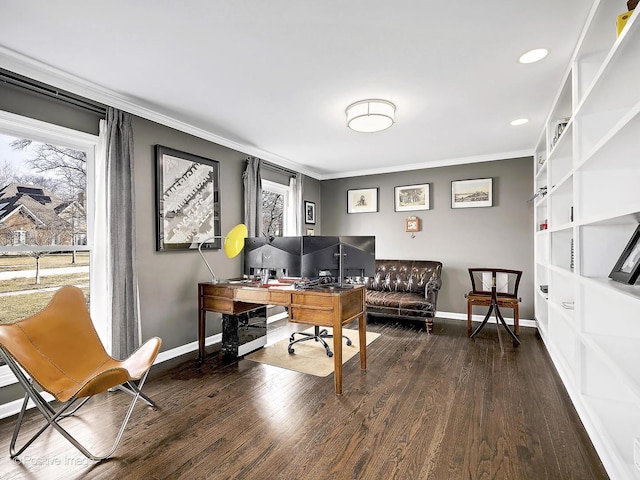 office with ornamental molding, baseboards, and wood finished floors