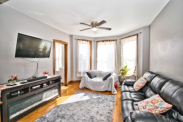 living room featuring radiator, baseboards, light wood-style floors, and a ceiling fan