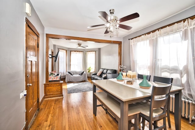 dining room featuring a ceiling fan, radiator heating unit, and wood finished floors