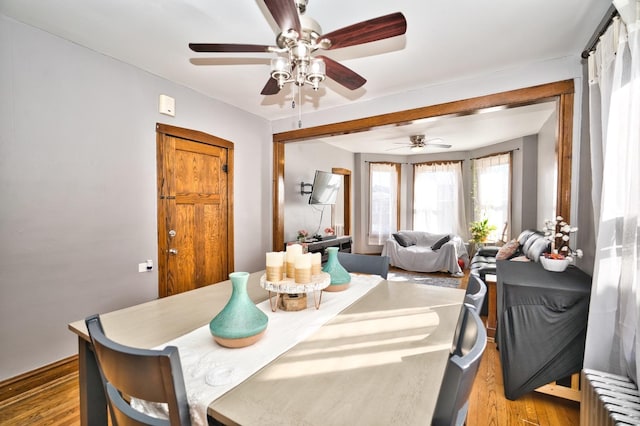 dining space featuring light wood finished floors, radiator heating unit, and ceiling fan