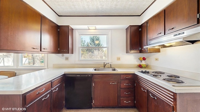 kitchen featuring a sink, black dishwasher, white electric cooktop, and light countertops