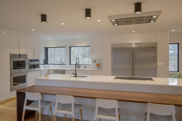 kitchen with modern cabinets, appliances with stainless steel finishes, white cabinets, and a sink