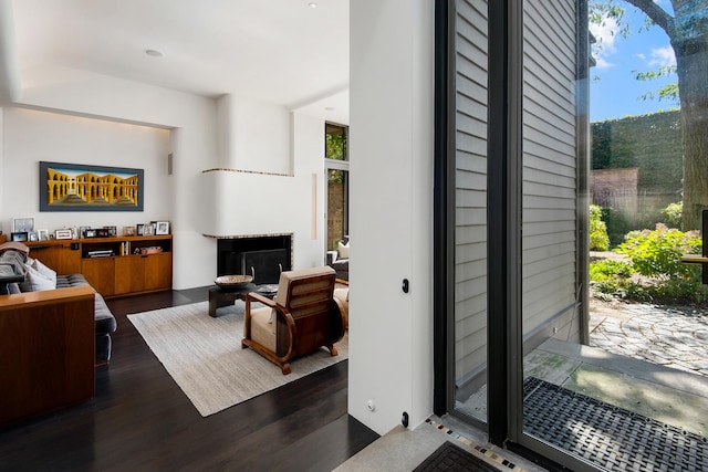 living area with dark wood finished floors