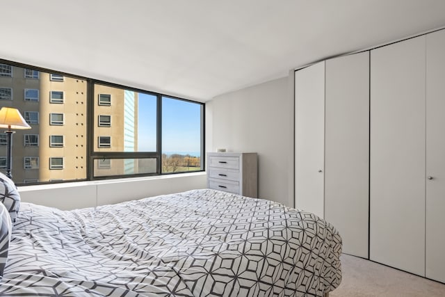 bedroom featuring a closet and carpet flooring