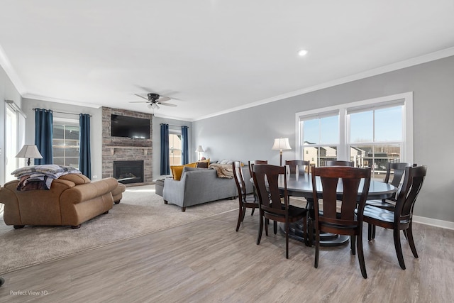 dining room with ornamental molding, light wood-style floors, and ceiling fan