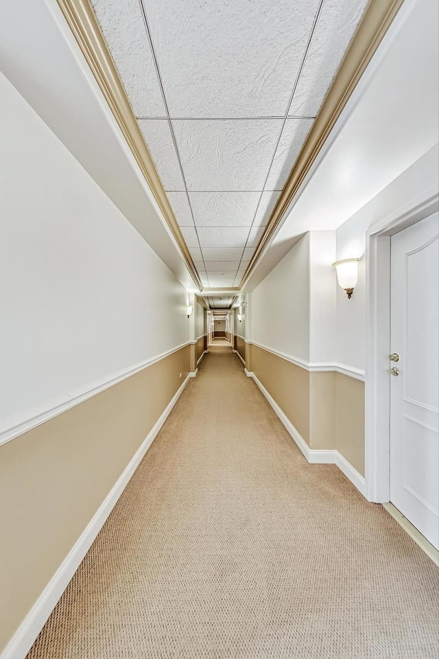 corridor featuring a drop ceiling, baseboards, and carpet