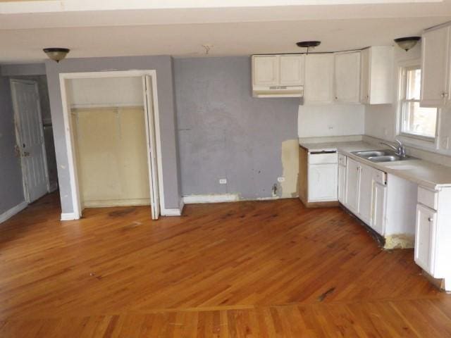 kitchen featuring a sink, light wood-style floors, and white cabinetry