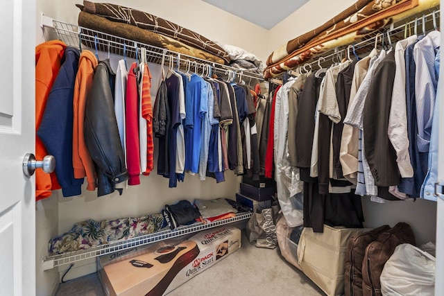 walk in closet featuring carpet