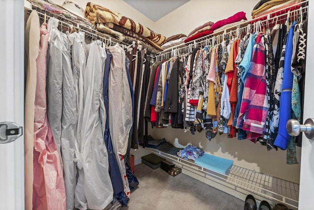 spacious closet featuring carpet floors