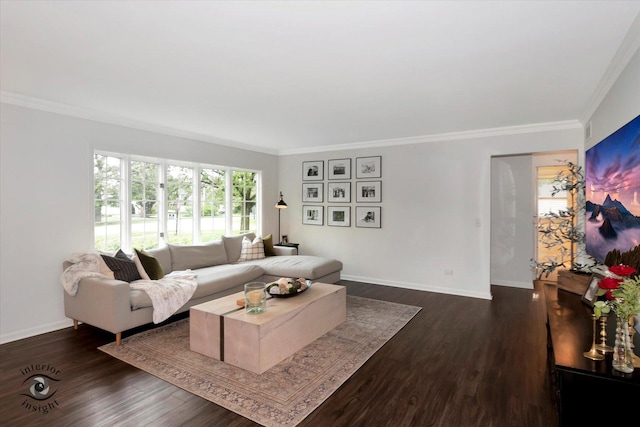 27W213 Manchester Rd, Winfield, IL 60190 - living room with ornamental molding, baseboards, and dark wood-type flooring