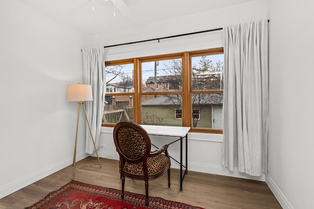 office space with ceiling fan, baseboards, and wood finished floors