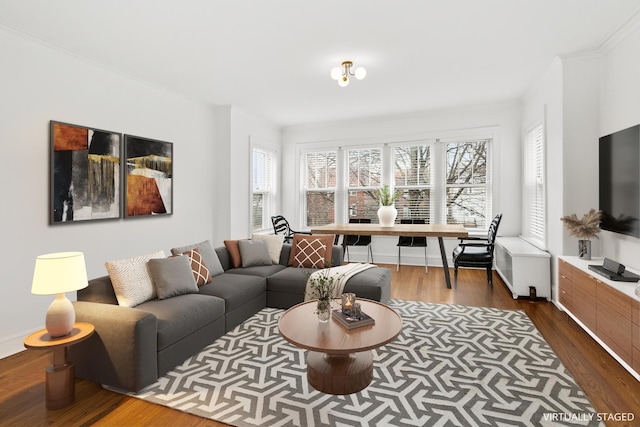 living room featuring crown molding, radiator, wood finished floors, and baseboards