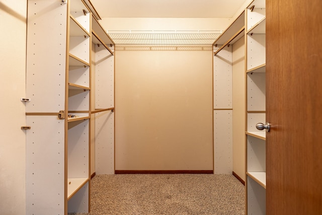 spacious closet with carpet