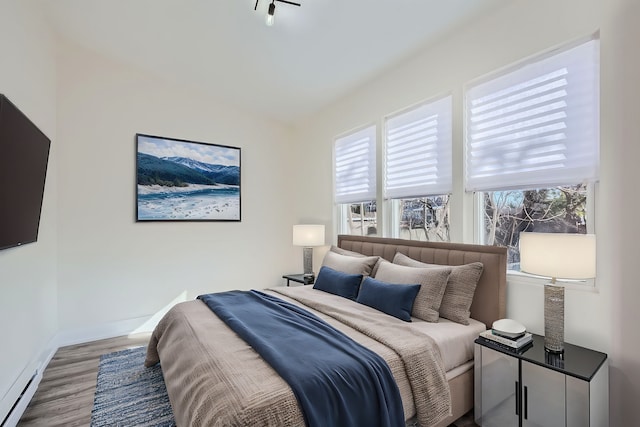 bedroom with baseboard heating, multiple windows, baseboards, and wood finished floors