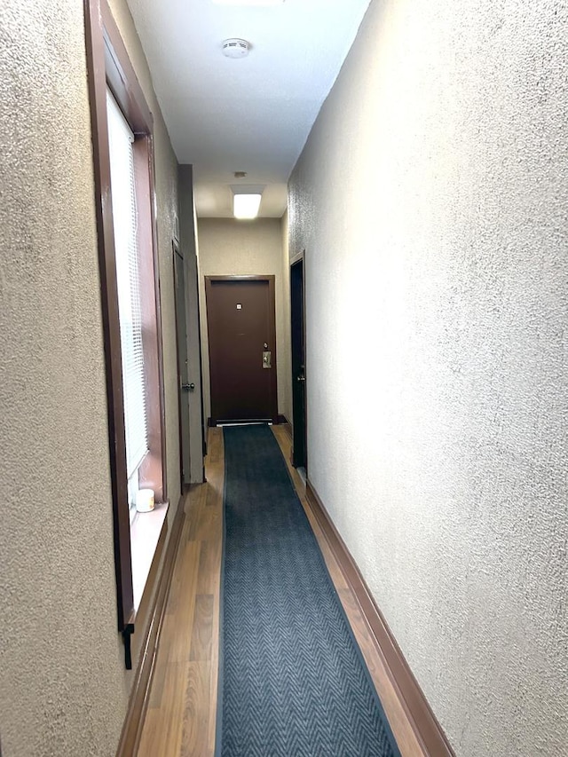 hallway featuring dark wood-type flooring and a textured wall