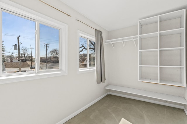 spacious closet with carpet