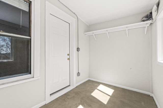 spacious closet featuring carpet