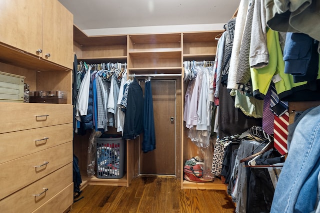 walk in closet with wood finished floors