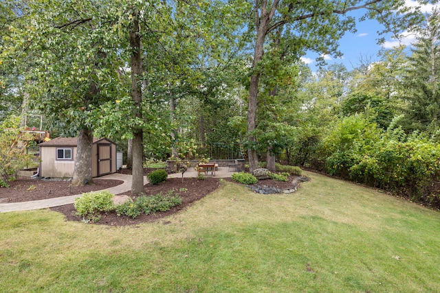 view of yard featuring a patio area, a storage shed, and an outdoor structure