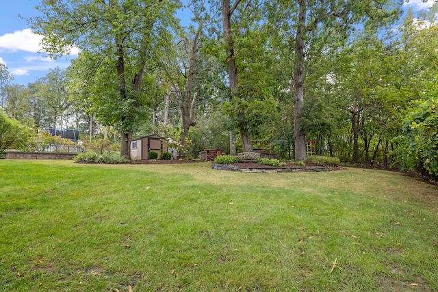 view of yard featuring a storage unit, an outdoor structure, and fence