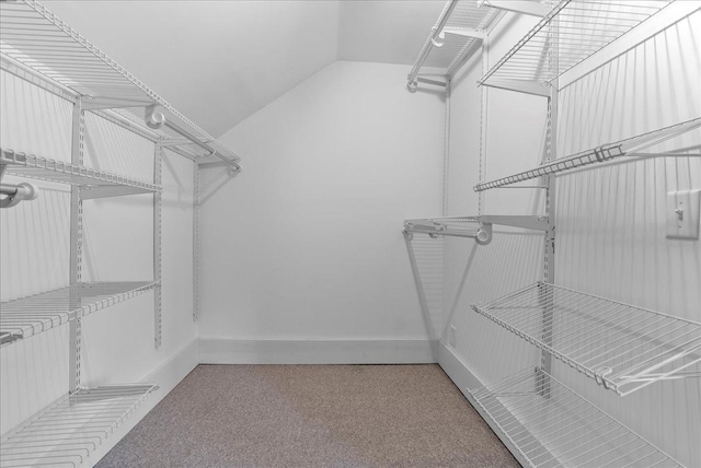 400 S 2nd St, Wapella, IL 61777 - spacious closet with carpet floors and lofted ceiling