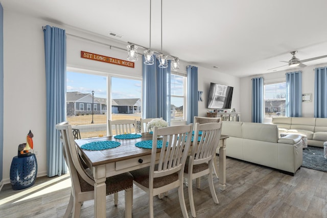 dining room with visible vents, ceiling fan, and wood finished floors