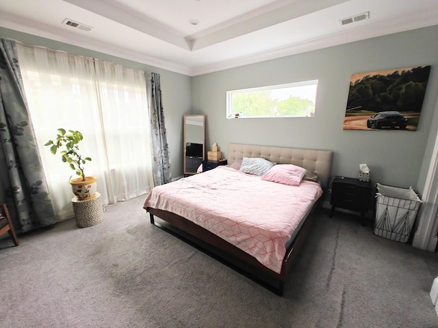 carpeted bedroom with a tray ceiling and visible vents