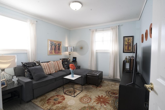 living room with ornamental molding