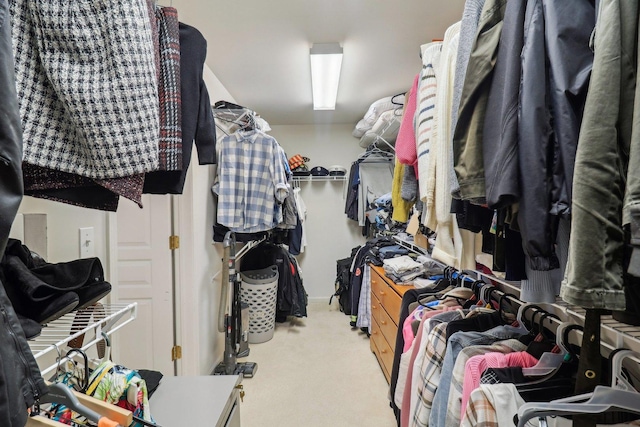2734 Carrington Dr, West Dundee, IL 60118 - walk in closet featuring carpet floors