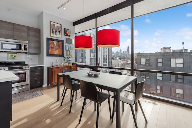 dining space featuring expansive windows, a city view, rail lighting, and light wood finished floors