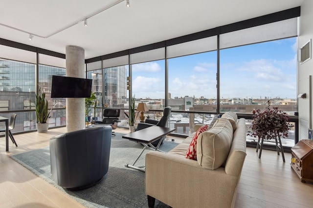 living room featuring expansive windows, a healthy amount of sunlight, and wood finished floors