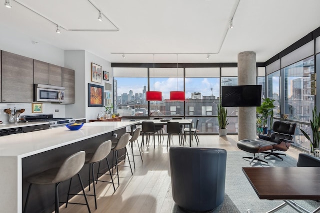 living room featuring a wall of windows, light wood-style flooring, and rail lighting