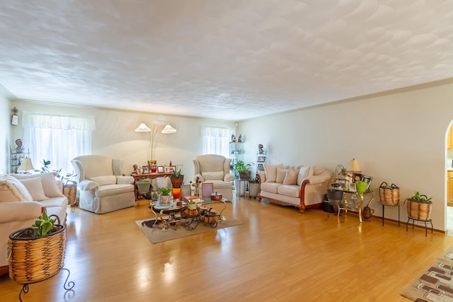 living area featuring plenty of natural light, ornamental molding, and light wood finished floors