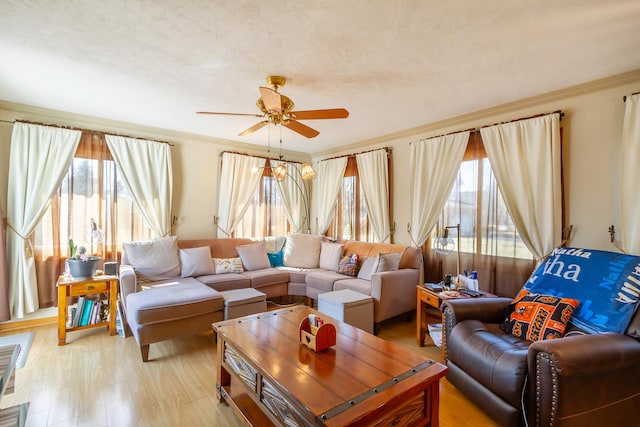 living area with ornamental molding, light wood-style floors, a wealth of natural light, and ceiling fan