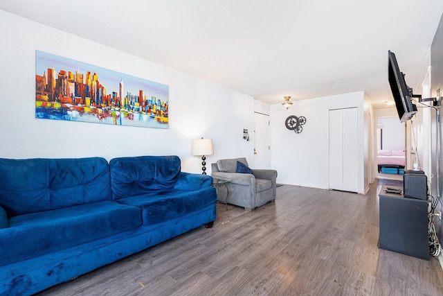 living area featuring wood finished floors