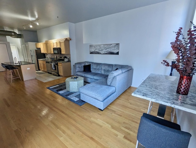 living area with light wood finished floors and rail lighting