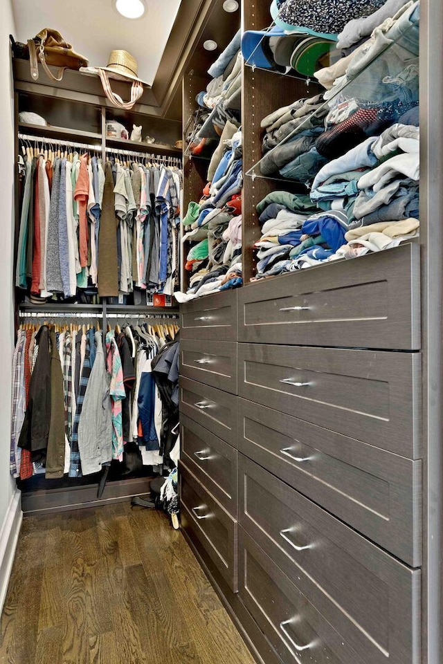 spacious closet featuring dark wood-style flooring