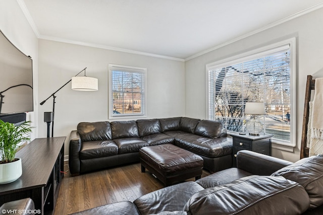 living room featuring hardwood / wood-style flooring and crown molding