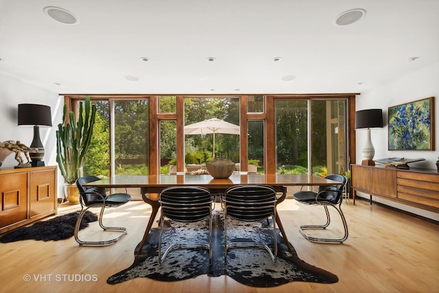 interior space featuring light wood finished floors