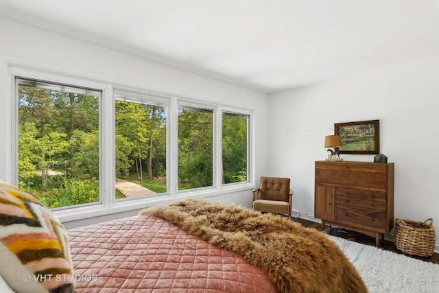 bedroom with multiple windows and wood finished floors