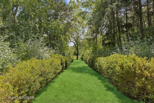 view of yard featuring a wooded view