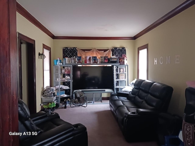 living area with carpet and ornamental molding