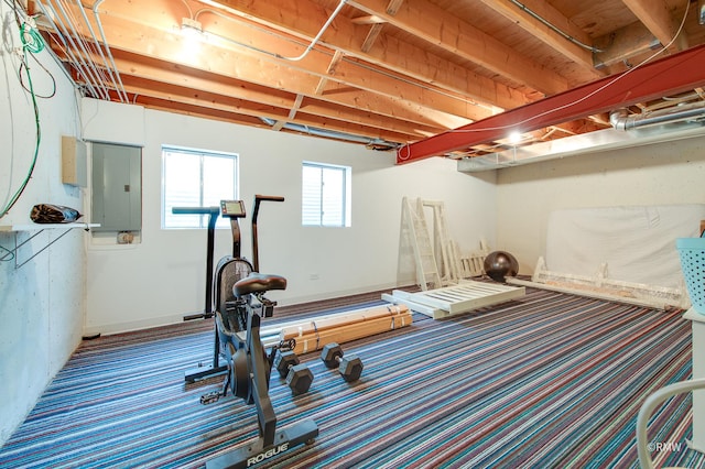 exercise room with electric panel and baseboards