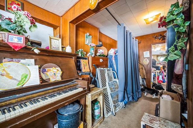 interior space featuring wood walls and carpet floors