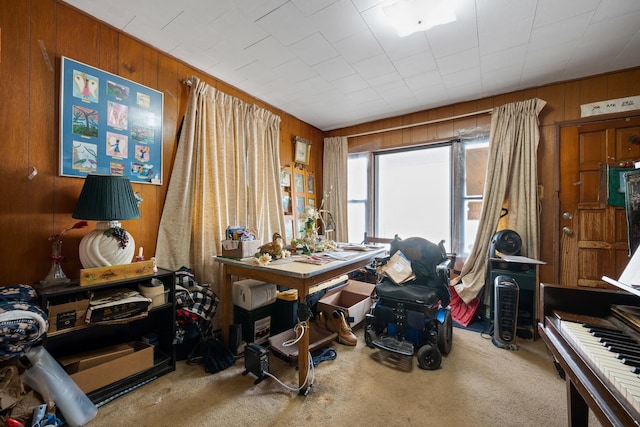 miscellaneous room featuring wooden walls and carpet floors