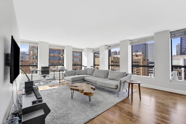 living room featuring a city view, wood finished floors, and baseboards