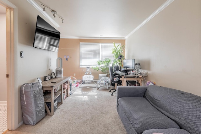 carpeted office space with track lighting, baseboards, and ornamental molding