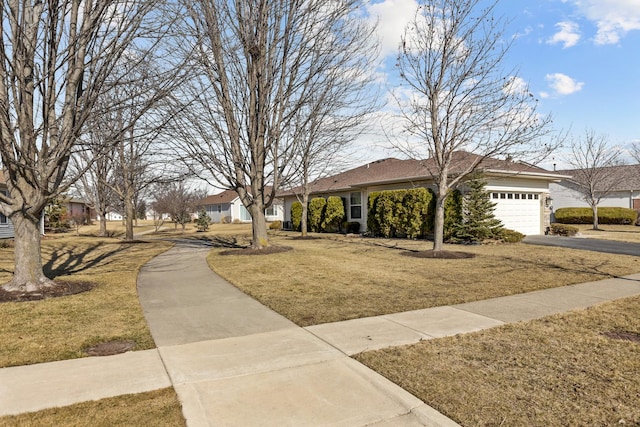 view of front of house with driveway, a front yard, and a garage