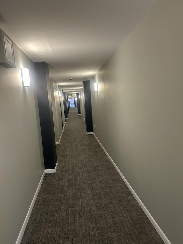 200 Park Ave Unit 531, Calumet City, IL 60409 - hall with dark carpet and baseboards